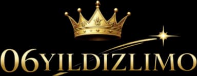 06YILDIZ LIMO Logo